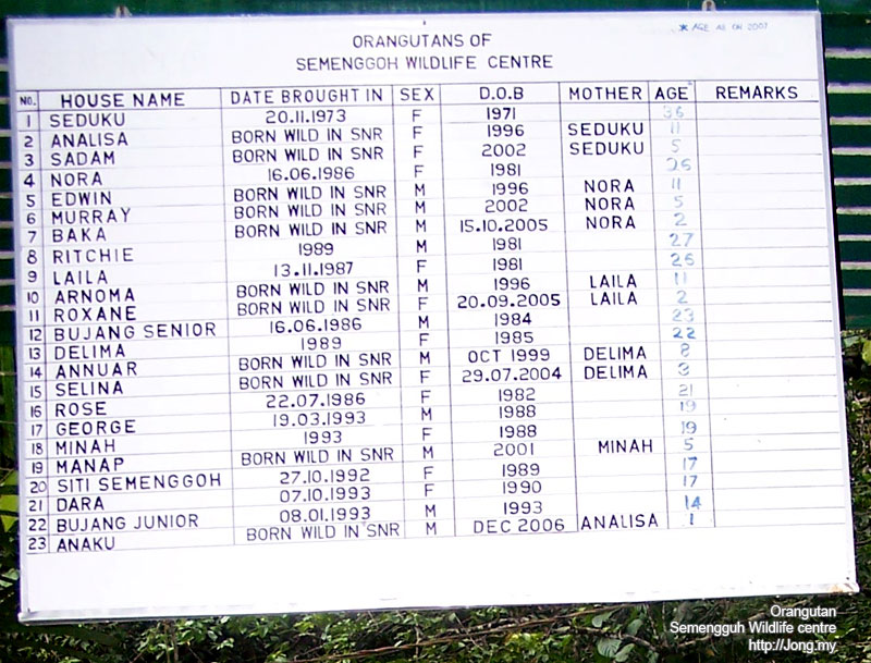 List of orangutans in Semongok wildlife rehabilitation centre